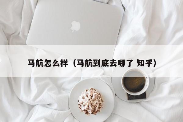 马航怎么样（马航到底去哪了 知乎）