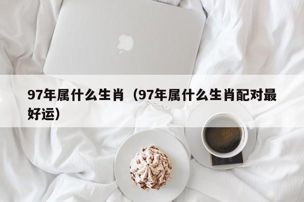 97年属什么生肖（97年属什么生肖配对最好运）