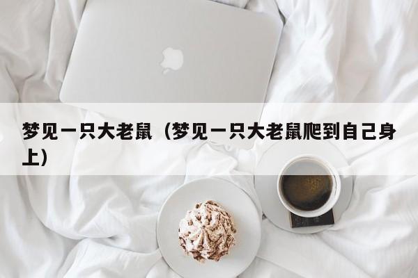 梦见一只大老鼠（梦见一只大老鼠爬到自己身上）