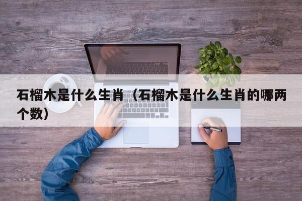 石榴木是什么生肖（石榴木是什么生肖的哪两个数）