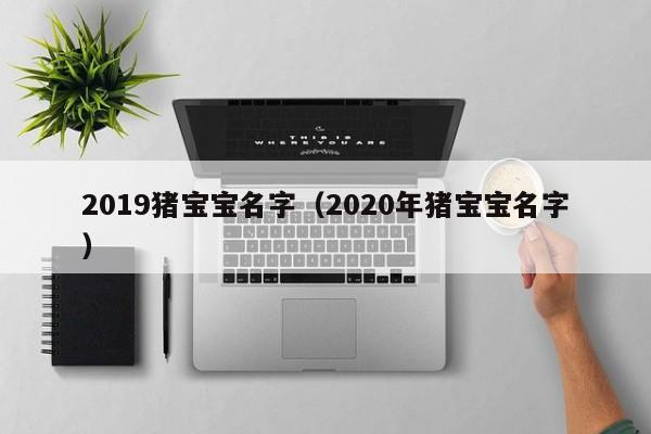 2019猪宝宝名字（2020年猪宝宝名字）