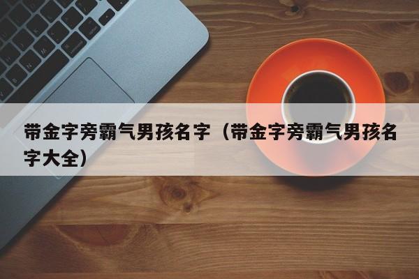 带金字旁霸气男孩名字（带金字旁霸气男孩名字大全）