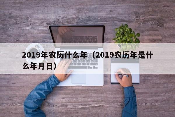 2019年农历什么年（2019农历年是什么年月日）