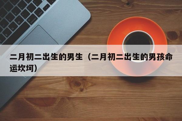 二月初二出生的男生（二月初二出生的男孩命运坎坷）