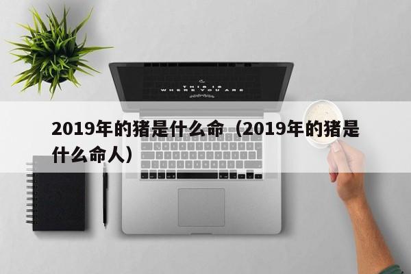 2019年的猪是什么命（2019年的猪是什么命人）-第1张图片