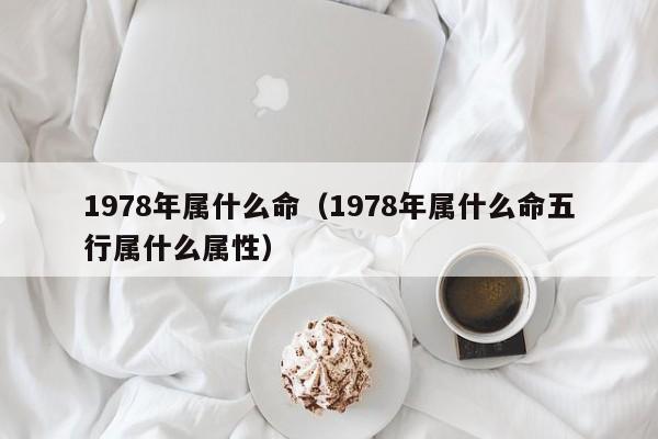 1978年属什么命（1978年属什么命五行属什么属性）
