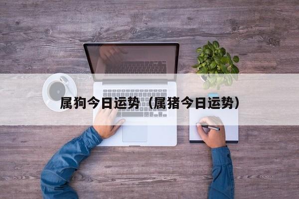 属狗今日运势（属猪今日运势）