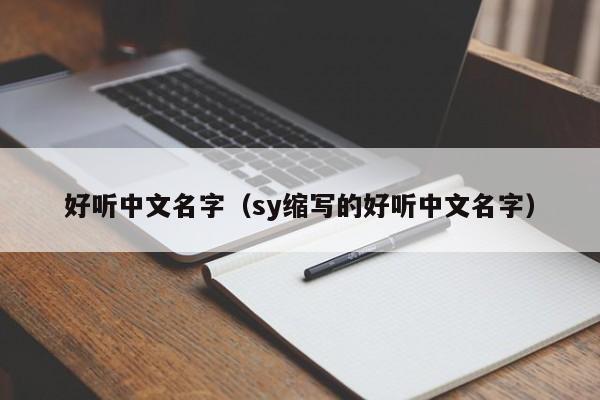 好听中文名字（sy缩写的好听中文名字）