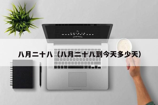 八月二十八（八月二十八到今天多少天）