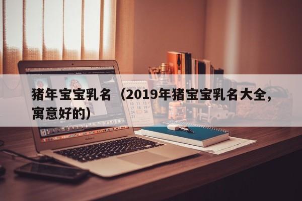 猪年宝宝乳名（2019年猪宝宝乳名大全,寓意好的）