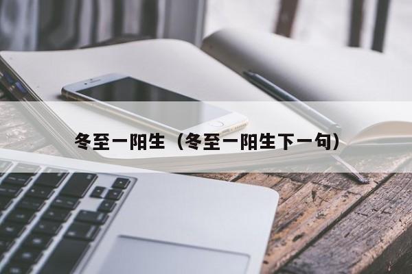 冬至一阳生（冬至一阳生下一句）